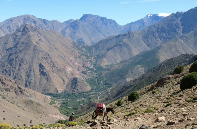 Day Trip to The Atlas Mountains From Marrakech